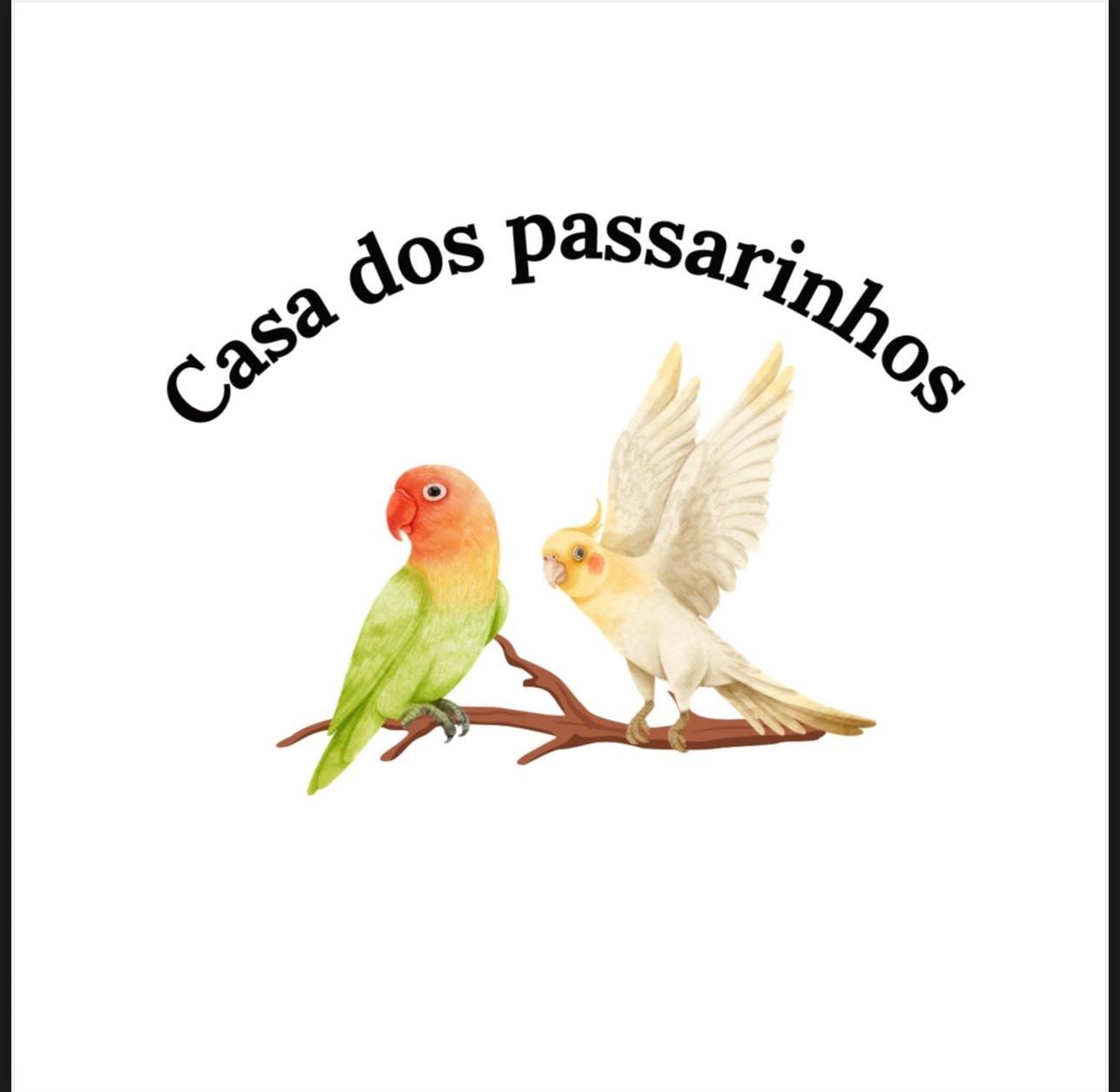 Casa Dos Passarinho'S , Lagos Exterior photo
